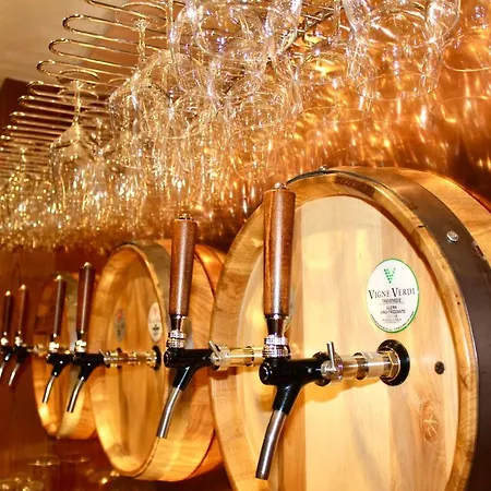 Penak Mountain Wellness 住宿加早餐酒店 阿帕里卡